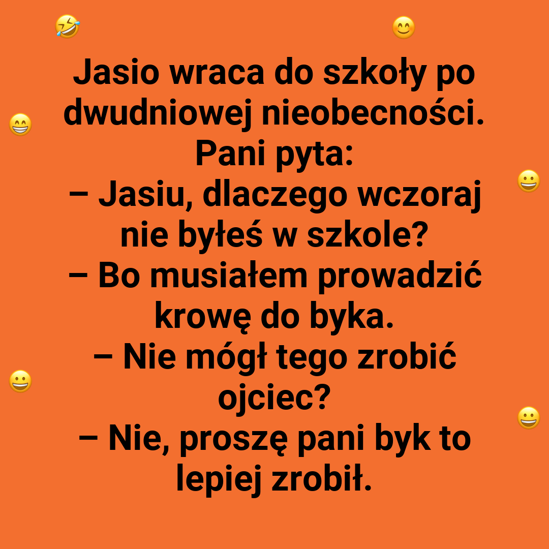 Byk, krowa i Jasio - trio doskonałe