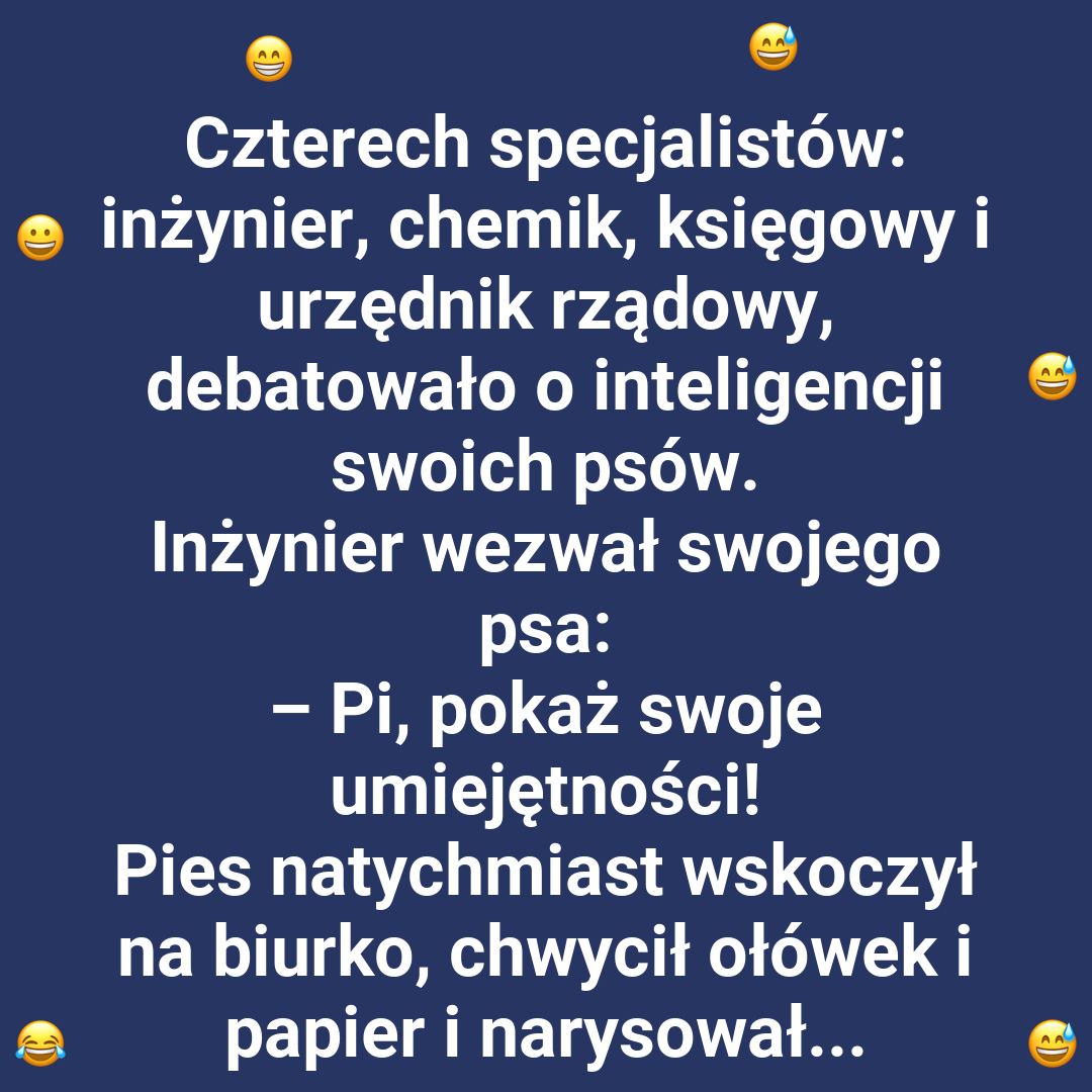 Co potrafią psy