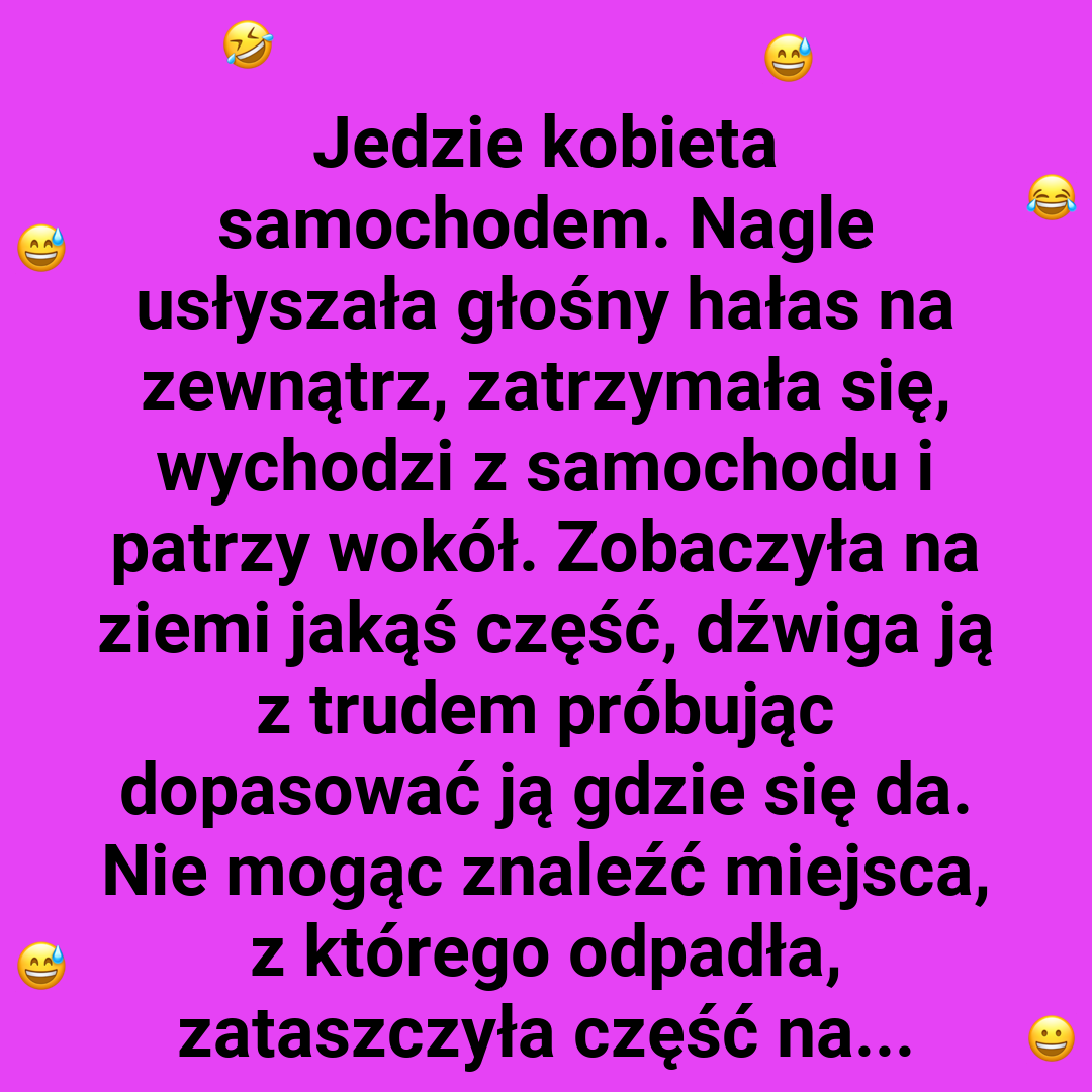 Dziwne znalezisko na drodze