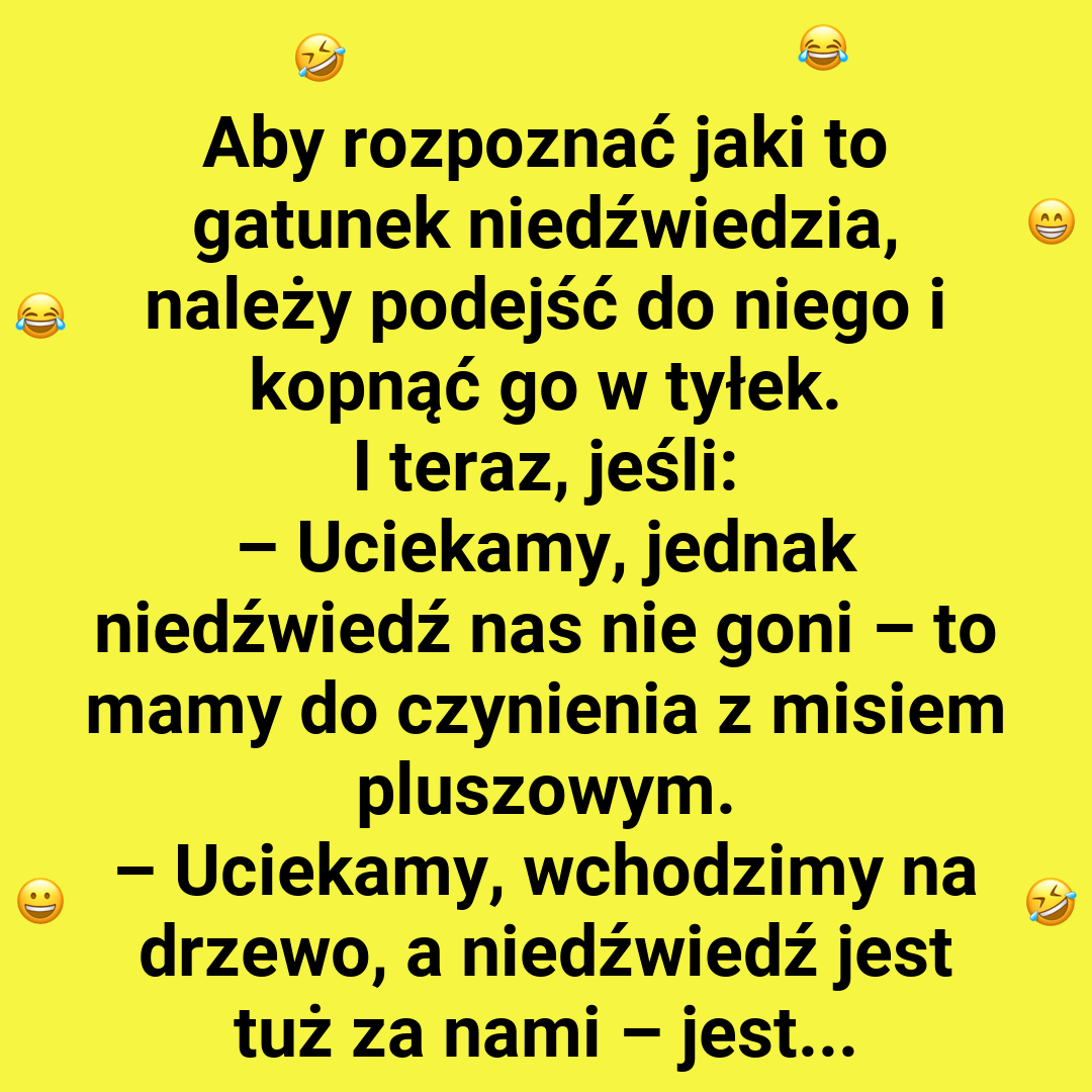 Jak rozpoznać niedźwiedzia? Prosta instrukcja