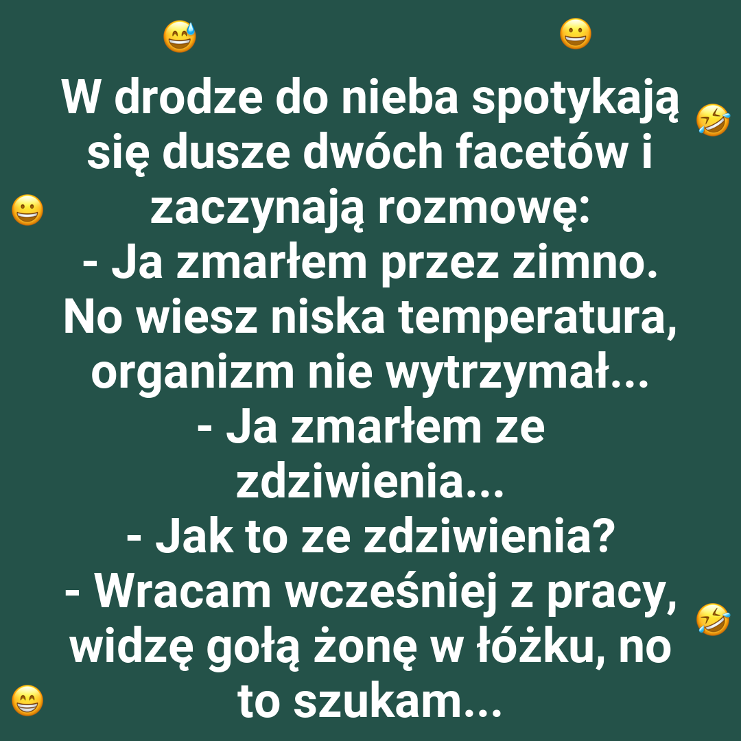 Nieoczekiwany finał poszukiwań
