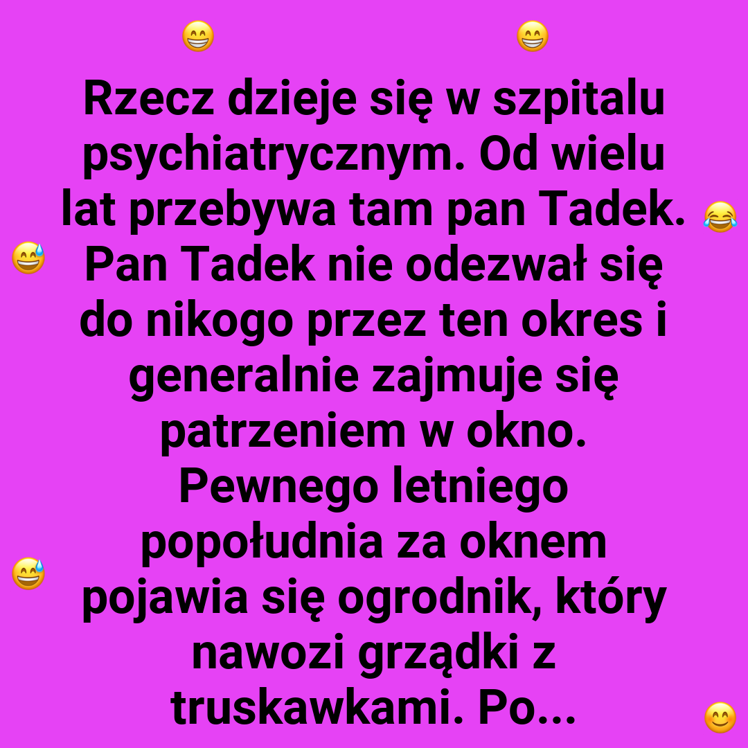 Pan Tadek i cukrowe truskawki
