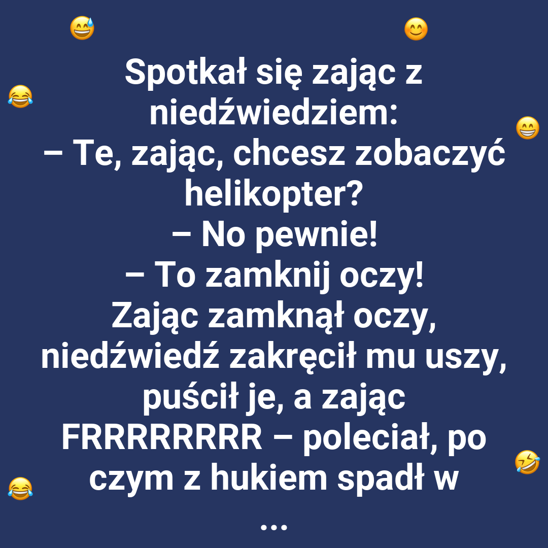 Zajączek spotkał niedźwiedzia