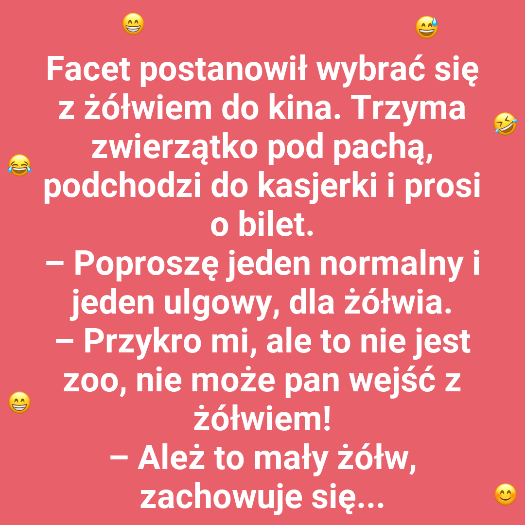 Żółw w kinie